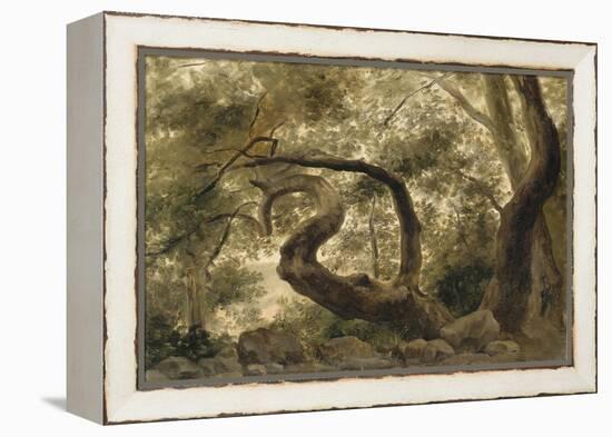 Sous-bois, arbres aux branches tortueuses-Pierre Henri de Valenciennes-Framed Premier Image Canvas