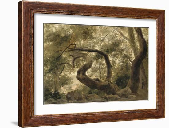 Sous-bois, arbres aux branches tortueuses-Pierre Henri de Valenciennes-Framed Giclee Print