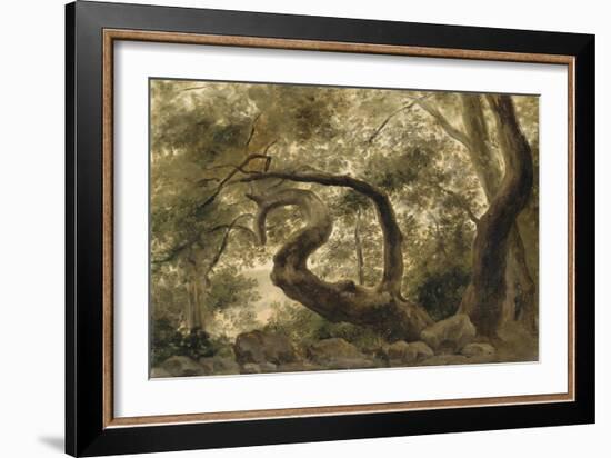 Sous-bois, arbres aux branches tortueuses-Pierre Henri de Valenciennes-Framed Giclee Print