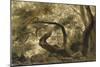 Sous-bois, arbres aux branches tortueuses-Pierre Henri de Valenciennes-Mounted Giclee Print