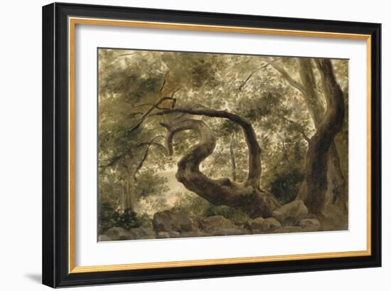 Sous-bois, arbres aux branches tortueuses-Pierre Henri de Valenciennes-Framed Giclee Print