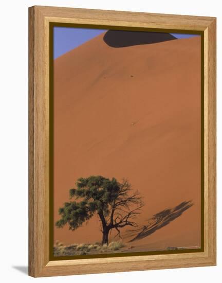 Soussevlei Sand Dune at Sunrise, Namibia-Claudia Adams-Framed Premier Image Canvas