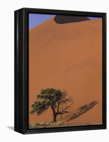 Soussevlei Sand Dune at Sunrise, Namibia-Claudia Adams-Framed Premier Image Canvas