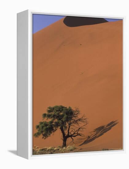 Soussevlei Sand Dune at Sunrise, Namibia-Claudia Adams-Framed Premier Image Canvas