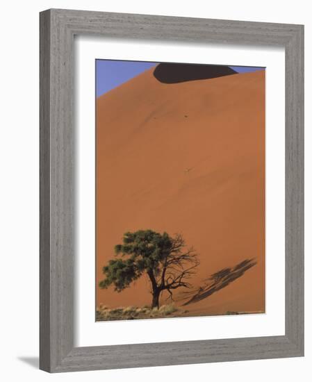 Soussevlei Sand Dune at Sunrise, Namibia-Claudia Adams-Framed Photographic Print