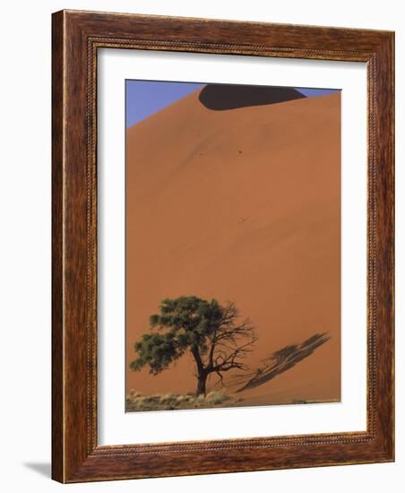 Soussevlei Sand Dune at Sunrise, Namibia-Claudia Adams-Framed Photographic Print