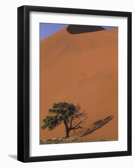 Soussevlei Sand Dune at Sunrise, Namibia-Claudia Adams-Framed Photographic Print