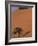 Soussevlei Sand Dune at Sunrise, Namibia-Claudia Adams-Framed Photographic Print