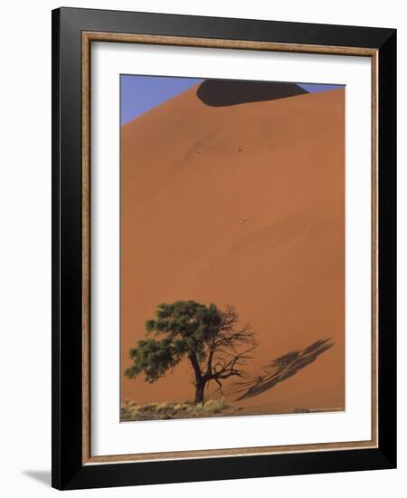 Soussevlei Sand Dune at Sunrise, Namibia-Claudia Adams-Framed Photographic Print