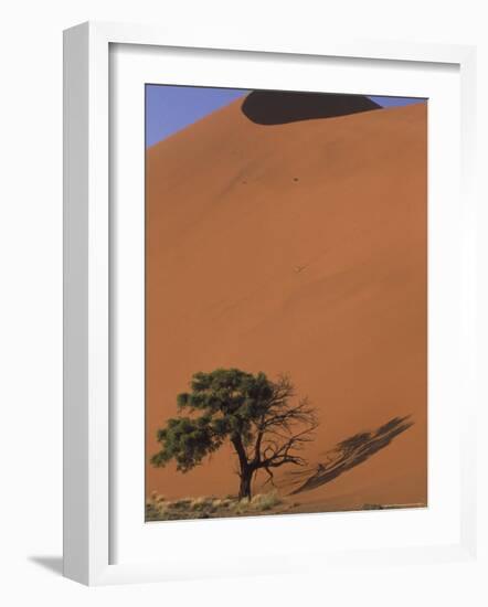 Soussevlei Sand Dune at Sunrise, Namibia-Claudia Adams-Framed Photographic Print