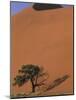 Soussevlei Sand Dune at Sunrise, Namibia-Claudia Adams-Mounted Photographic Print