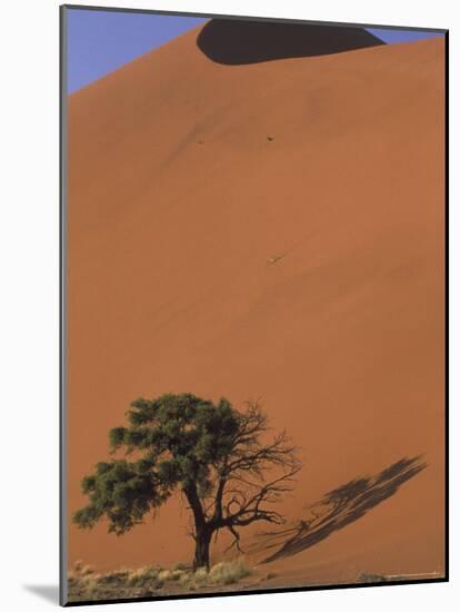 Soussevlei Sand Dune at Sunrise, Namibia-Claudia Adams-Mounted Photographic Print