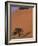 Soussevlei Sand Dune at Sunrise, Namibia-Claudia Adams-Framed Photographic Print