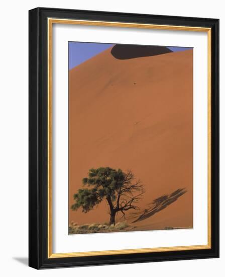 Soussevlei Sand Dune at Sunrise, Namibia-Claudia Adams-Framed Photographic Print