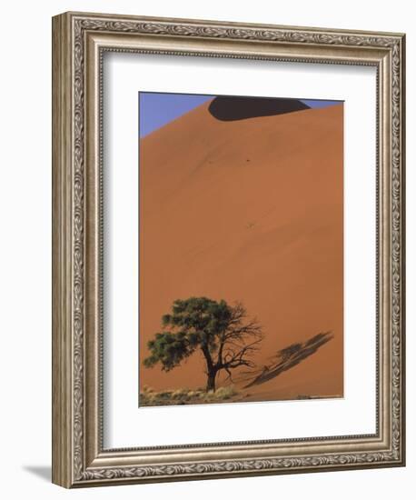 Soussevlei Sand Dune at Sunrise, Namibia-Claudia Adams-Framed Photographic Print