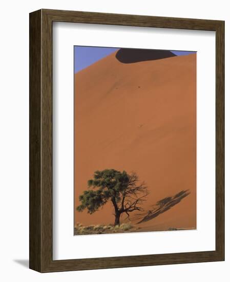 Soussevlei Sand Dune at Sunrise, Namibia-Claudia Adams-Framed Photographic Print