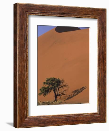 Soussevlei Sand Dune at Sunrise, Namibia-Claudia Adams-Framed Photographic Print