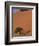 Soussevlei Sand Dune at Sunrise, Namibia-Claudia Adams-Framed Photographic Print