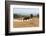 South Africa, Addo National Park, Animals in the Water Hole-Catharina Lux-Framed Photographic Print