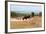 South Africa, Addo National Park, Animals in the Water Hole-Catharina Lux-Framed Photographic Print