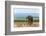 South Africa, Addo National Park, Elephant in the Water Hole-Catharina Lux-Framed Photographic Print