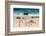 South Africa, Boulders Beach, Penguin Colony-Catharina Lux-Framed Photographic Print