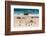 South Africa, Boulders Beach, Penguin Colony-Catharina Lux-Framed Photographic Print