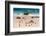 South Africa, Boulders Beach, Penguin Colony-Catharina Lux-Framed Photographic Print