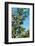 South Africa, Bush of Acacia with Thorns-Catharina Lux-Framed Photographic Print