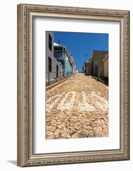 South Africa, Cape Town, Bokaap, Historic District-Catharina Lux-Framed Photographic Print