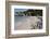 South Africa, Cape Town, Simon's Town, Boulders Beach. African penguin colony.-Cindy Miller Hopkins-Framed Photographic Print