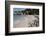 South Africa, Cape Town, Simon's Town, Boulders Beach. African penguin colony.-Cindy Miller Hopkins-Framed Photographic Print