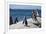 South Africa, Cape Town, Simon's Town, Boulders Beach. African penguin colony.-Cindy Miller Hopkins-Framed Photographic Print