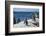 South Africa, Cape Town, Simon's Town, Boulders Beach. African penguin colony.-Cindy Miller Hopkins-Framed Photographic Print