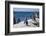 South Africa, Cape Town, Simon's Town, Boulders Beach. African penguin colony.-Cindy Miller Hopkins-Framed Photographic Print