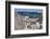 South Africa, Cape Town, Simon's Town, Boulders Beach. African penguin colony.-Cindy Miller Hopkins-Framed Photographic Print