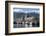 South Africa, Cape Town. Victoria and Alfred Waterfront, Table Mountain.-Cindy Miller Hopkins-Framed Photographic Print