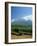 South Africa, Cape Winelands. Vineyards Near Stellenbosch-Fraser Hall-Framed Photographic Print