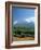 South Africa, Cape Winelands. Vineyards Near Stellenbosch-Fraser Hall-Framed Photographic Print