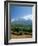 South Africa, Cape Winelands. Vineyards Near Stellenbosch-Fraser Hall-Framed Photographic Print