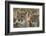 South Africa, Close-Up of Cheetahs-Amos Nachoum-Framed Photographic Print