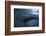 South Africa, Close Up of Great White Shark-Stuart Westmorland-Framed Photographic Print