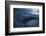 South Africa, Close Up of Great White Shark-Stuart Westmorland-Framed Photographic Print