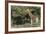 South Africa, Eastern Cape, East London. Inkwenkwezi Game Reserve-Cindy Miller Hopkins-Framed Photographic Print