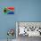 South Africa Flag Design with Wood Patterning - Flags of the World Series-Philippe Hugonnard-Framed Stretched Canvas displayed on a wall