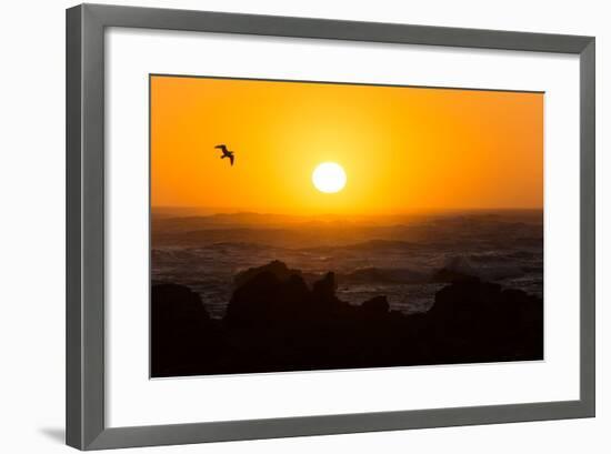South Africa, Garden Route, Cape Agulhas, Sundown-Catharina Lux-Framed Photographic Print