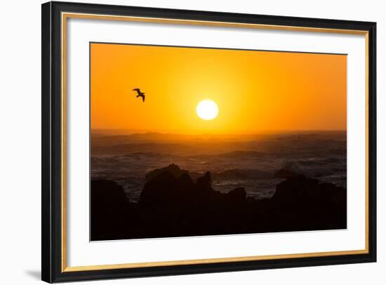 South Africa, Garden Route, Cape Agulhas, Sundown-Catharina Lux-Framed Photographic Print