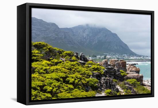 South Africa, Garden Route, Hermanus-Catharina Lux-Framed Premier Image Canvas