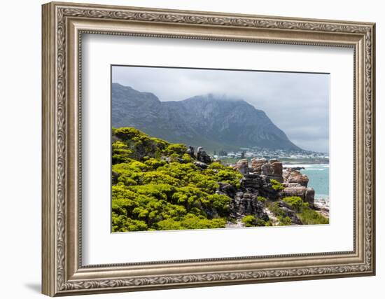 South Africa, Garden Route, Hermanus-Catharina Lux-Framed Photographic Print