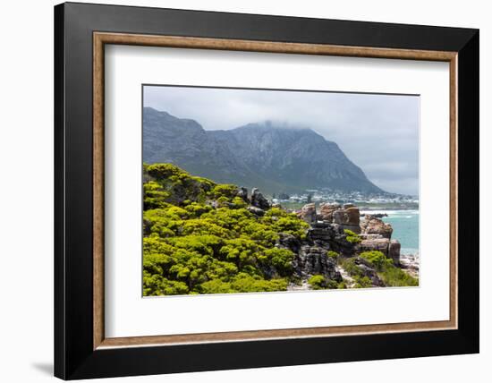 South Africa, Garden Route, Hermanus-Catharina Lux-Framed Photographic Print